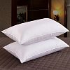 Hotel use cotton Pillow Insert