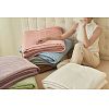 Leisure Super Soft Thick Cloud Mink Velvet Lamb Cashmere Blanket Solid Color Multi-purpose Blanket